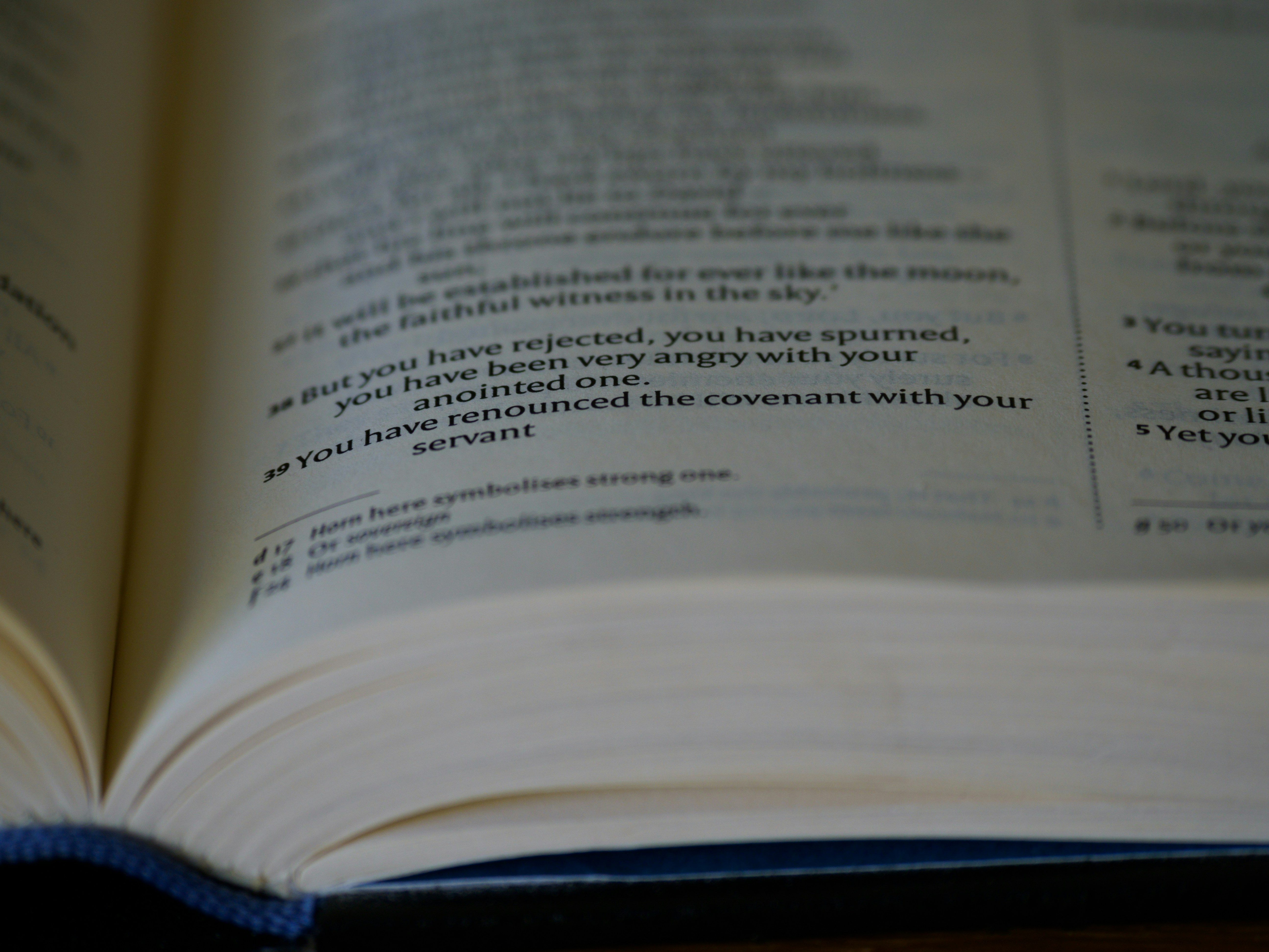 close up, bokeh, macro, blur, blurred background, close focus, bible, old testament, hebrew bible, christian, judaism, history, text, reading, bible study, devotions, text, NIV, New International Version, type, typography, canon, christianity, holy scripture, holy bible, scripture, old testament, hebrew bible, תְּהִלִּים, psalms, psalter, ketuvim, writings, tanakh, king david,